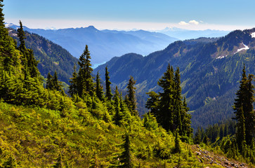 View toward Baker Lake and the North Cascades region from the Chain Lakes trail located near the...