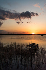 印旛沼の夕焼け