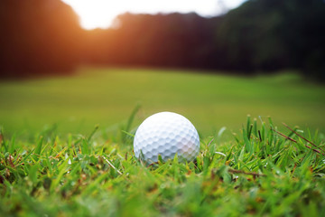 golf ball close up in grass field with sunset. Golf ball close up in golf coures at Thailand