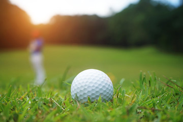 golf ball close up in grass field with sunset. Golf ball close up in golf coures at Thailand