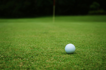 golf ball close up in grass field with sunset. Golf ball close up in golf coures at Thailand