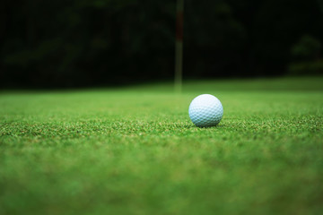 golf ball close up in grass field with sunset. Golf ball close up in golf coures at Thailand