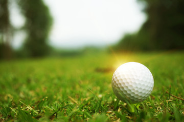 golf ball close up in grass field with sunset. Golf ball close up in golf coures at Thailand