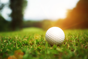 golf ball close up in grass field with sunset. Golf ball close up in golf coures at Thailand
