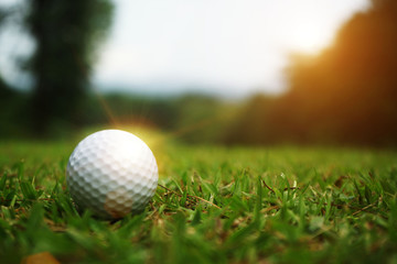 golf ball close up in grass field with sunset. Golf ball close up in golf coures at Thailand