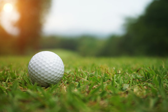 golf ball close up in grass field with sunset. Golf ball close up in golf coures at Thailand