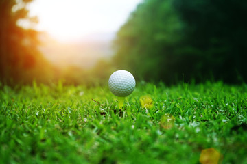 golf ball close up in grass field with sunset. Golf ball close up in golf coures at Thailand