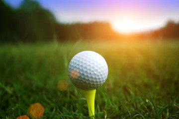 golf ball close up in grass field with sunset. Golf ball close up in golf coures at Thailand