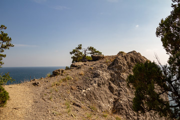 Fototapeta na wymiar View in the reserve Karaul Oba