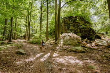 Women tourists walk in the forest.