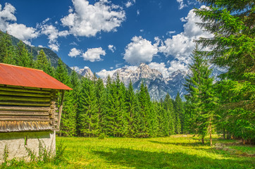 Fototapeta na wymiar Beautiful mountain hut in summer