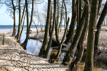 beach and Baltic sea on the winter