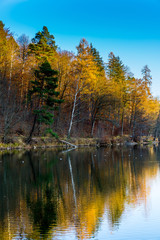 Fototapeta na wymiar Different colored trees in autumn season reflected by silent lake water at sunset