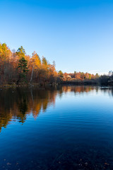 Fototapeta na wymiar Warm sunset light on autumn style forest alongside lake water