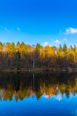 Autumn forest trees reflected by silent water