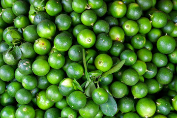 Limes