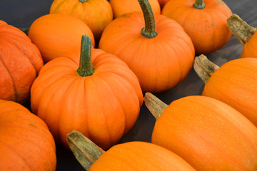 Different pumpkins collection