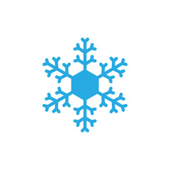 Snowflake icon design template vector illustration