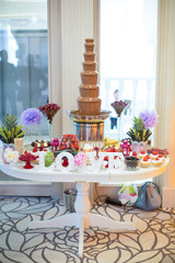 Chocolate Fountain. Wedding Decor.
