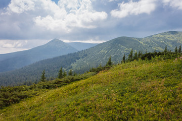 Mountain landscape. A view of the mountains with green meadows and coniferous forests against the background of beautiful clouds 