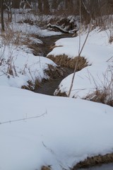 Winter Stream