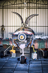 Engine maintenance of a single-engine parkenge aircraft in the hangar.