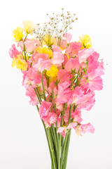 スイートピーの花束　Flowers sweet pea bouquet