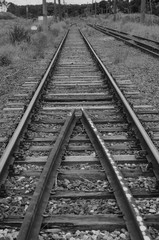 Fototapeta premium trilhos
