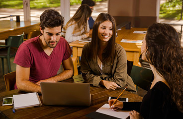 Friends studying together