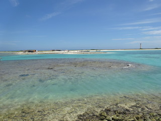 Mar azul Isla La Tortuga