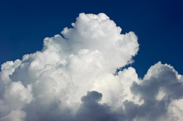Cumuluswolken vor blauem Himmel