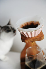 Wooden coffee drip station and white fluffy blue-eyed cat on white background. Pink ceramic dripper with paper filter