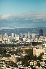 Fototapeta na wymiar Downtown San Francisco, California as seen from Golden Gate Heights.