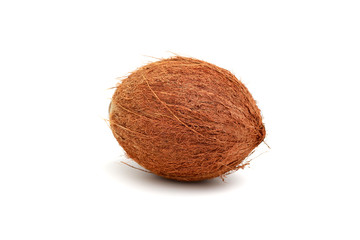 natural coconut isolated in white. Tropical fruit