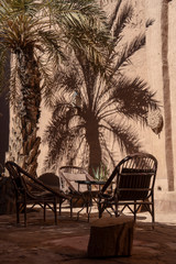 Schattenspiel von Palmblättern auf Stampflehm in Marokko