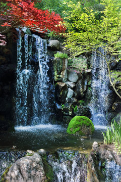 Japanese Waterfall