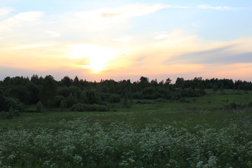 sunset over green field
