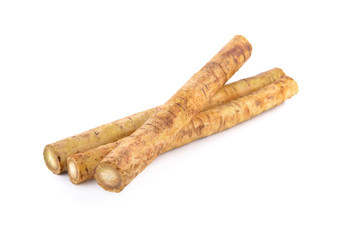 fresh burdock root or Gobo on white background