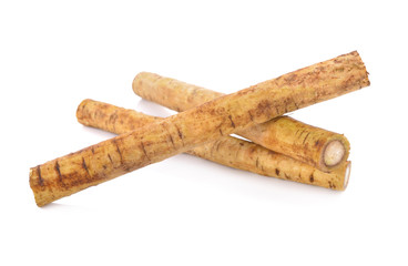 fresh burdock root or Gobo on white background