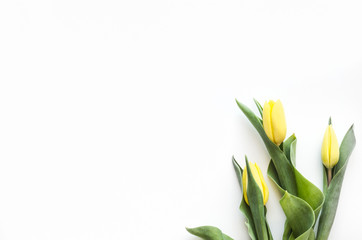 A bouquet of the first spring flowers. Yellow Tulip. Spring card or background with space for text. Top view. Copy space.  Mock-up