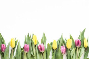 Background of spring flowers. Yellow and pink tulip. Spring card or background with space for text. Top view. Copy space.  Mock-up