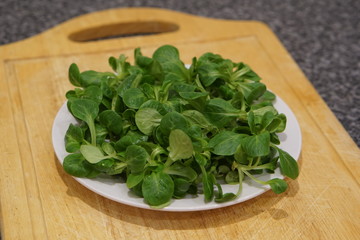 Lambs lettuce (Valerianella locusta)