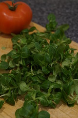 Lambs lettuce (Valerianella locusta)