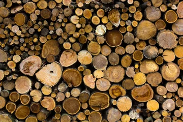 Möbelaufkleber  Firewood stacked © Roman