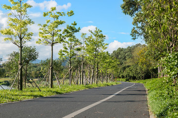 road