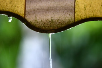 regen