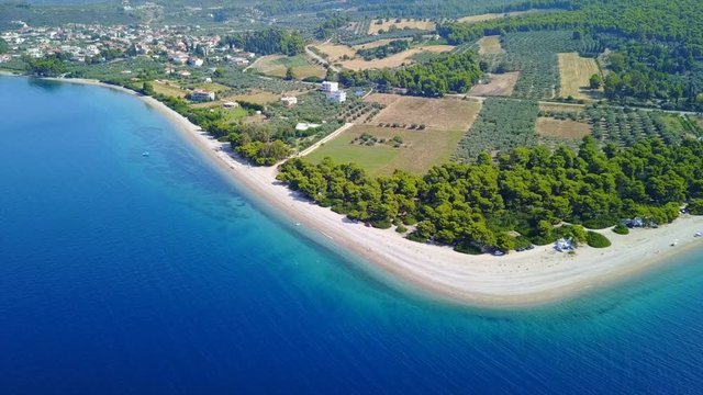 Aerial bird's eye video taken by drone of exotic seascape and sandy beach with turquoise clear waters and pine trees, Rovies, North Evoia island, Greece