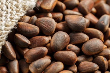 Pine nuts in a bag of burlap on an old vintage background with a fir green branch. In country style.