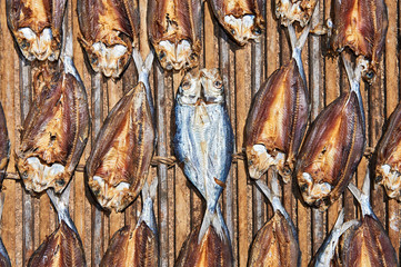 Plenty salted fish, cut into half and lay out for drying on a wooden floor at the market in Taytay, Palawan Province, Philippines