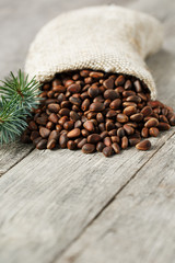 Pine nuts in a bag of burlap on an old vintage background with a fir green branch. In country style.